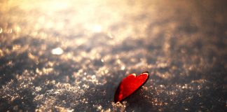 Poezia zilei: ”Amor de iarnă” – Cincinat Pavelescu