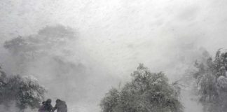 Poezia zilei: „Iarna” – Ion Luca Caragiale
