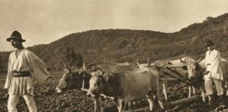 A. I. Cuza, domnitorul care a împroprietărit țăranii cu pământ și i-a obligat să meargă la școală