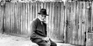 Poezia zilei: „Da, eşti bătrân…” – Marcel Breslașu