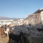 19942681_10212644332056588_8761089071935102167_o