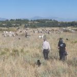 20232968_10212644439019262_567885907771195689_o