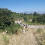 20280368_10212644431739080_8062369548552451201_o