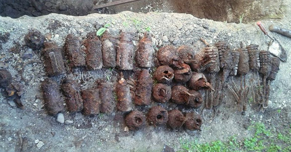 logo rotalianul 272x90