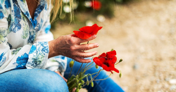 logo rotalianul 272x90