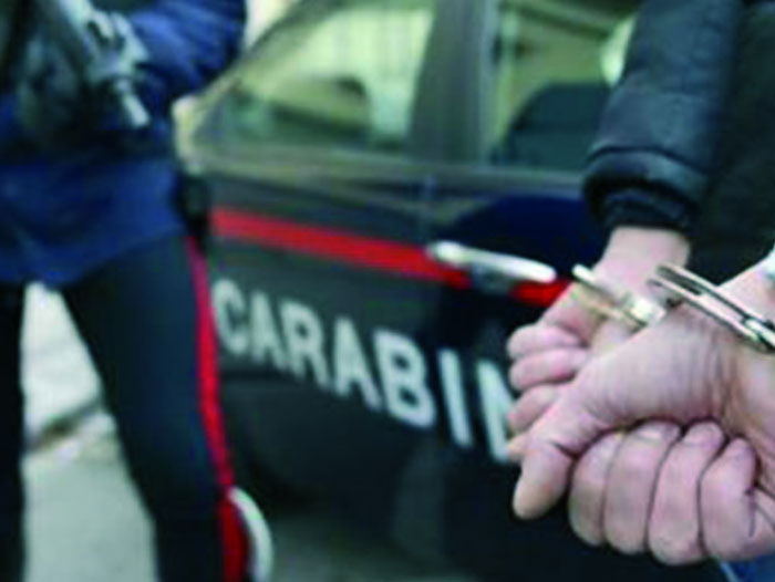 logo rotalianul 272x90