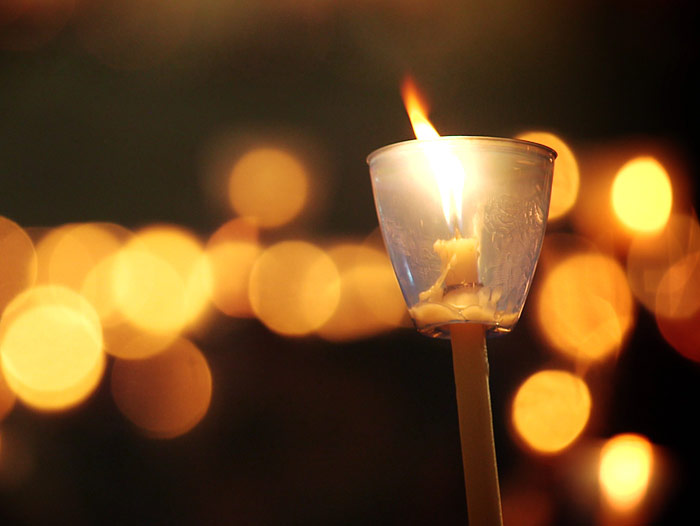 logo rotalianul 272x90