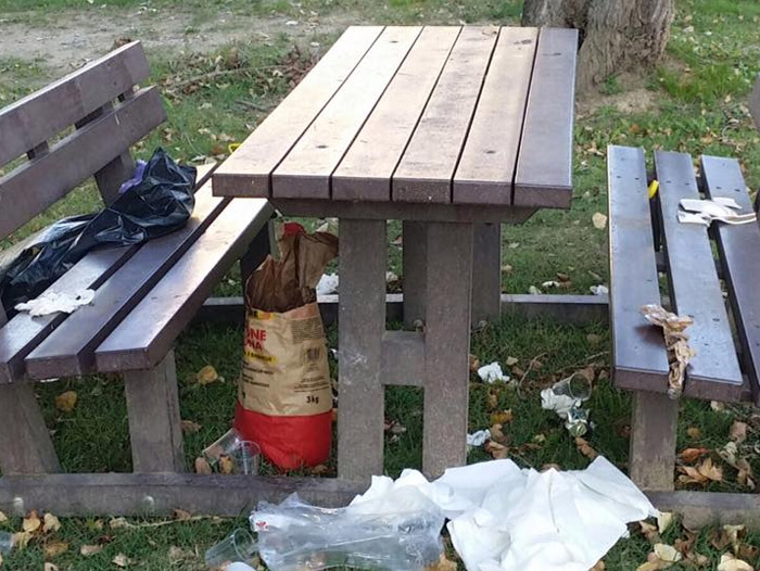 logo rotalianul 272x90