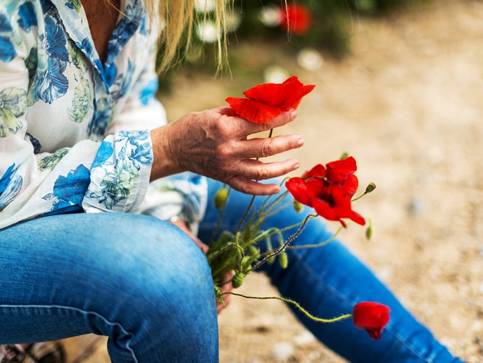 logo rotalianul 272x90