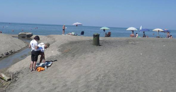 logo rotalianul 272x90