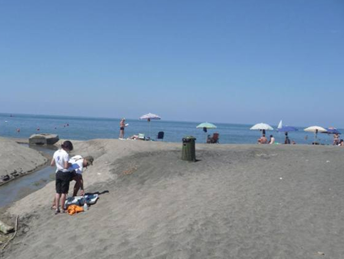 logo rotalianul 272x90