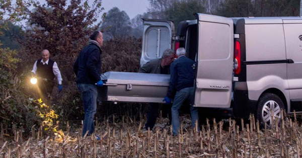 logo rotalianul 272x90