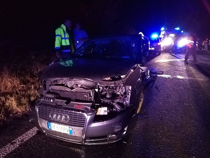 logo rotalianul 272x90