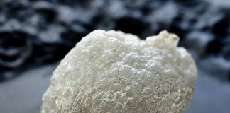 Un restaurant din Italia oferă clienților „aer prăjit”. Este servit ca aperitiv