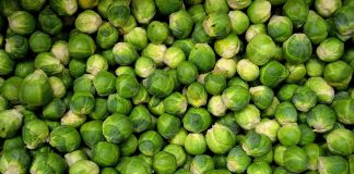 Varza de Bruxelles, „cavolini” sau „cavoletti di Bruxelles” la italieni. Numeroasele beneficii pentru sănătate