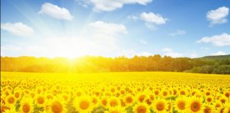 Solstițiul de vară 2022. Marți, 21 iunie, este cea mai lungă zi din acest an