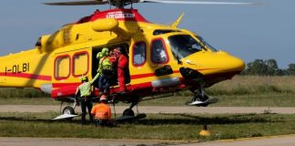 Italia: Culegea cireșe și a căzut de la 4 metri înălțime. Român în stare gravă la spital