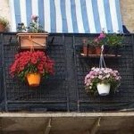 photo_2020-09-20_18-31-56