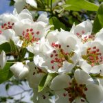 1200-20210320102347 (1)