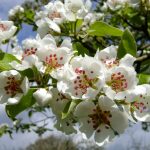 700-20210320102347 (2)