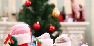 Ajun de Moș Nicolae. Tradiții și obiceiuri din mai multe țări europene 700-2023120510244 (1)