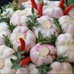 1200-202206079624 (1)