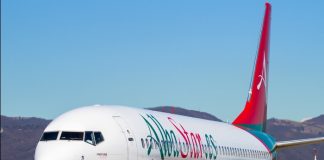 Zbor anulat în Italia din cauza unei albine, familie despăgubită cu 1.000 de euro