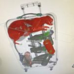 http___cdn.cnn.com_cnnnext_dam_assets_221123111522-01-cat-suitcase-tsa