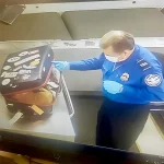 tsa-cat-010-1