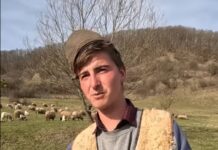Român întors din străinătate: „Nici să nu mai aud de ea, las’ să meargă alții, eu rămân la oi”