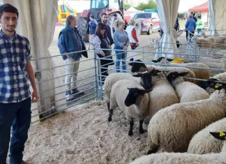 Tânăr din Italia, cioban la oi pe un salariu de 1.200 de euro: „Nu este vorba de bani, ci de libertate și pasiune” 1