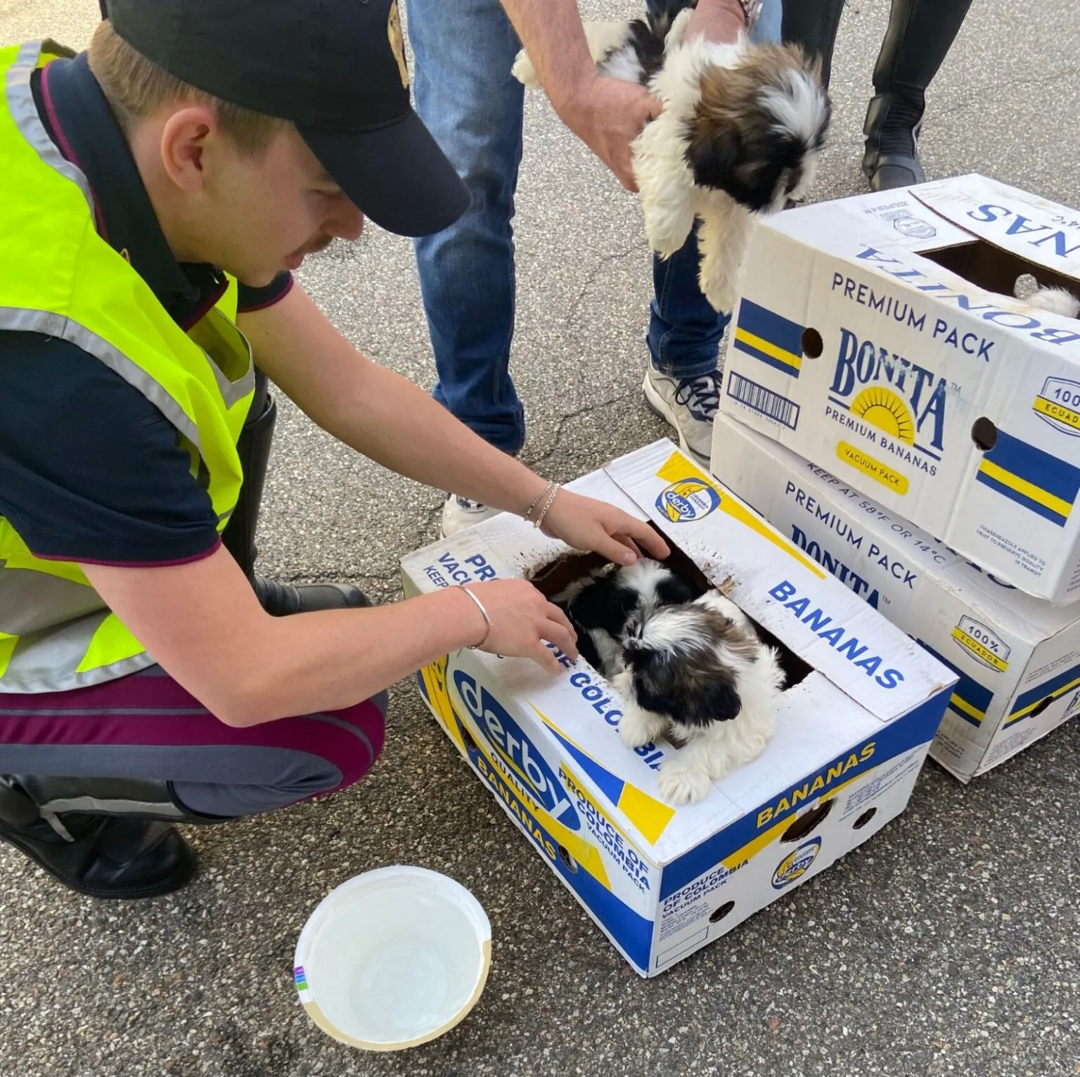 polizia-salvataggio-cani-1536x1531 polizia-salvataggio-cani-1536x1531