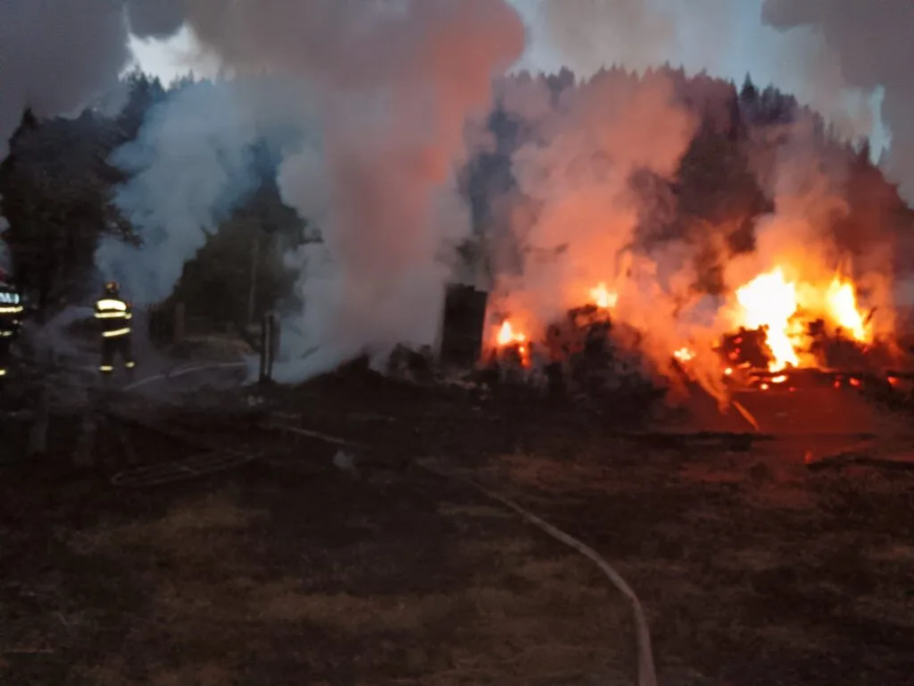 FotoVideo-Suceava-Tragedie-la-Brodina.-Un-batran-de-81-de-ani-a-murit-intr-un-incendiu-devastator-1-1024x768 FotoVideo-Suceava-Tragedie-la-Brodina.-Un-batran-de-81-de-ani-a-murit-intr-un-incendiu-devastator-1-1024x768