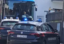 Autocar românesc, blocat de carabinieri în Italia. O româncă a fost arestată 1