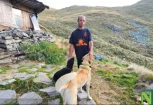 Gheorghe, păstor român în Italia, invidiat pentru simplitatea și liniștea vieții sale 1200-2025081793454