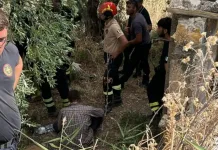 Român dispărut în Italia de 12 zile, găsit în viață de echipele de căutare. S-a hrănit doar cu apă și mere 1