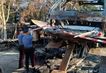 Român din Italia, terorizat de un fost campion olimpic italian. I-a dat foc la grădină 1