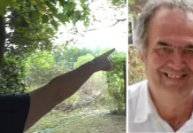 Șoc pentru o badantă din Italia: a găsit fiul bătrânei mort în grădină. Bărbatul a fost lovit de fulger 1