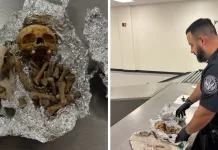 Pasager depistat în aeroport cu un craniu de om și alte rămășițe umane în bagaj. „Erau destinate ritualurilor” 1