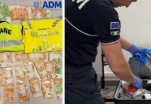 Pasageră prinsă pe un aeroport din Italia cu peste 36.000 de euro ascunși. O bună parte din bani au fost confiscați 1