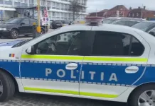 S-a întors din străinătate pentru a avea grijă de mama sa, dar a ucis-o cu mâinile goale după ce s-au certat de la bani. Bărbat arestat pentru crimă 1