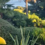 213img-20231219-wa0005