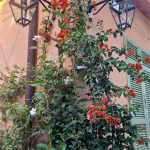 337img-20231207-wa0011