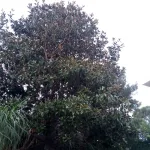 489img-20231121-wa0016