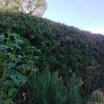 807img-20231124-wa0031