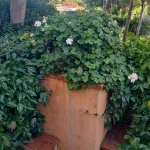817img-20231207-wa0015