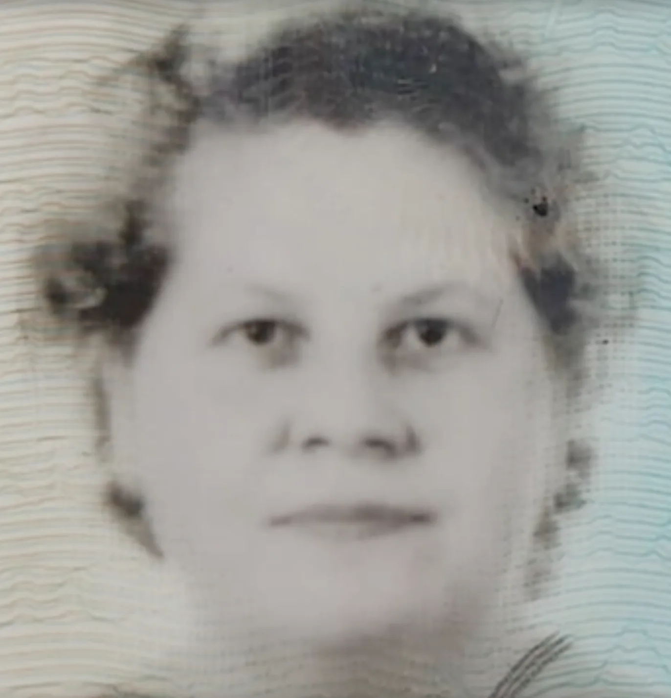 Schermata-2024-08-16-alle-09.13.18 Schermata-2024-08-16-alle-09.13.18