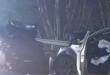 Tragic accident pentru un român din Italia, mort după ce s-a izbit frontal cu autoturismul de o altă mașină. Ionel avea 55 de ani 1