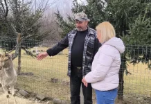 Un român întors din străinătate a transformat grajdurile CAP-ului din satul natal într-o atracție turistică unică. ,,De vreo 10 ani am început povestea aceasta” 1