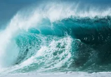 Modul cumplit în care au murit cei doi români din Spania, înghițiți de un val uriaș „A fost o situație de tipul «se salvează cine poate»” 1